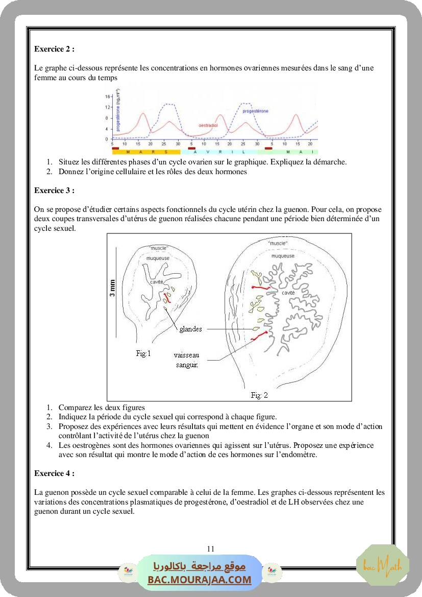 Serie_Neurophysiologie_ _Corrections