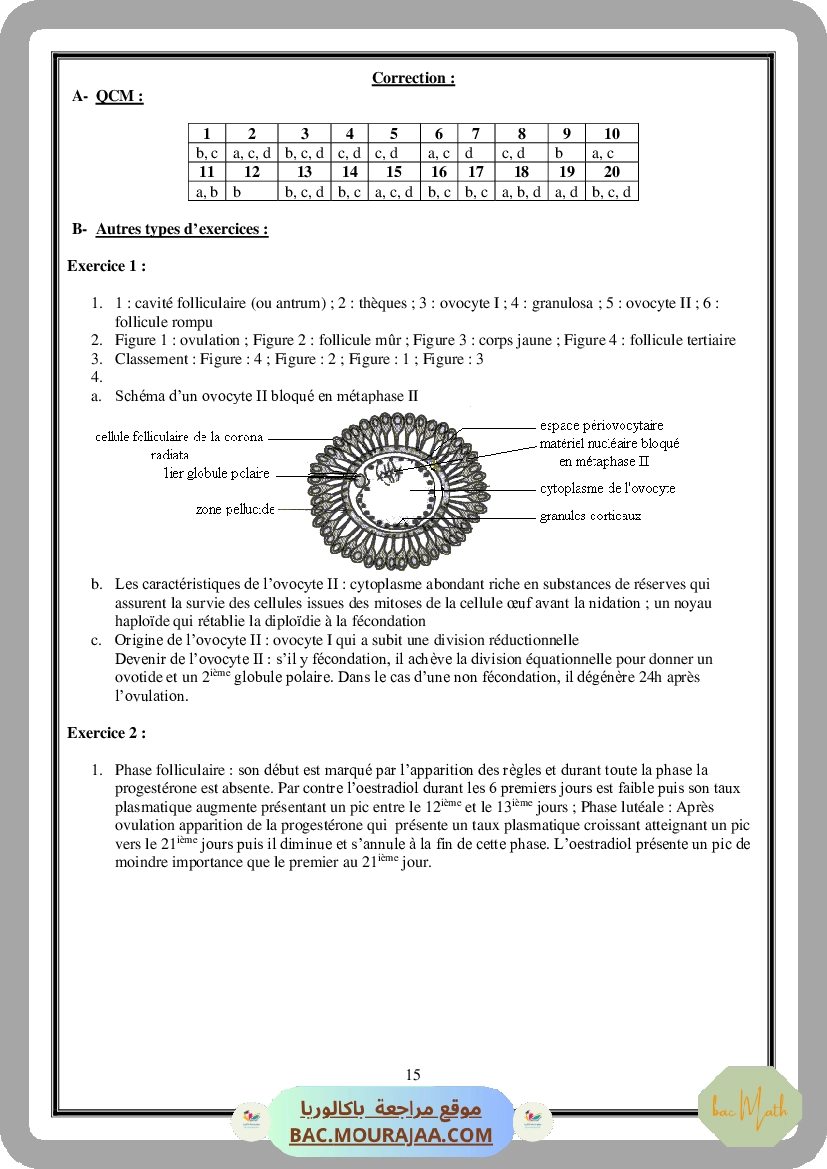 Serie_Neurophysiologie_ _Corrections