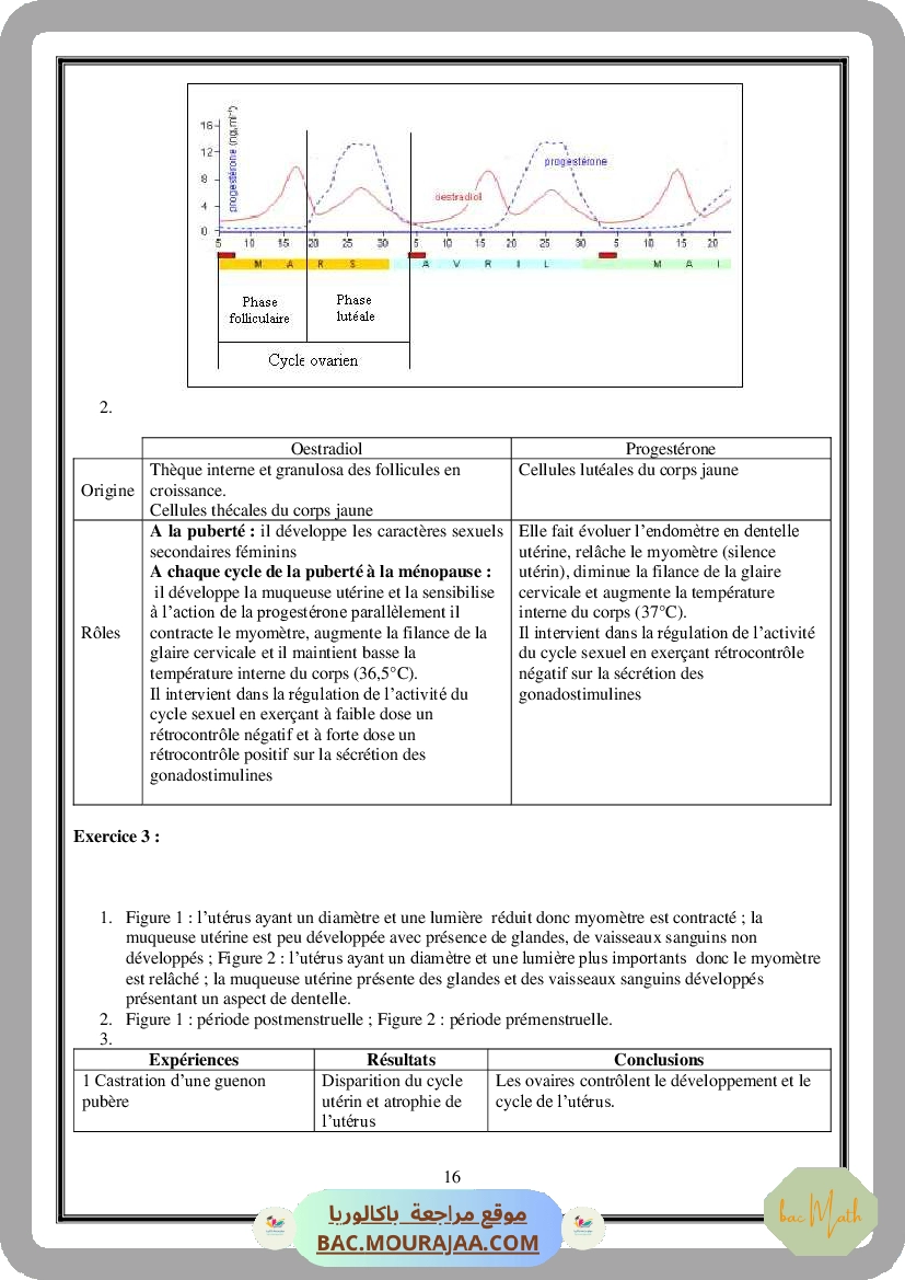 Serie_Neurophysiologie_ _Corrections