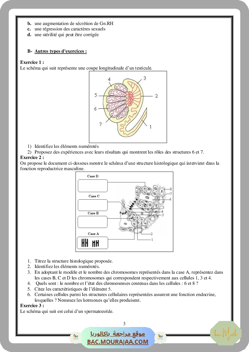Serie_Neurophysiologie_ _Corrections