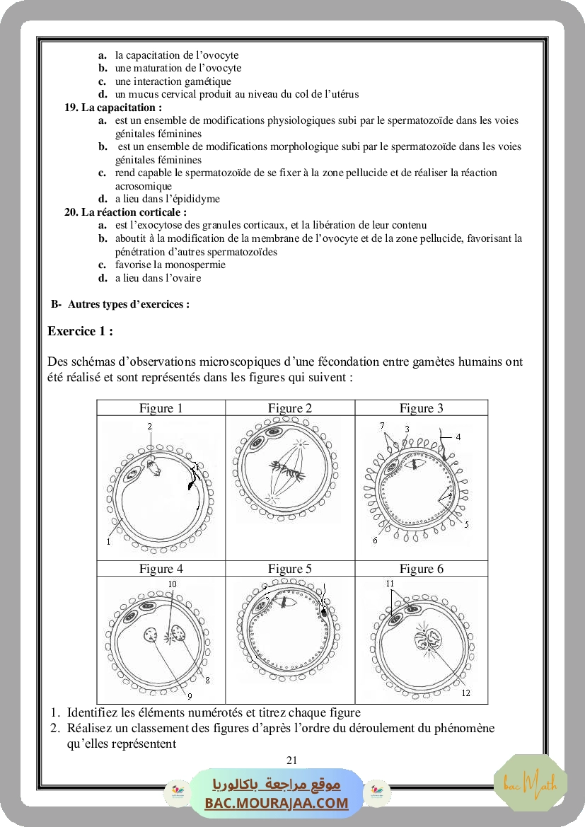 Serie_Neurophysiologie_ _Corrections