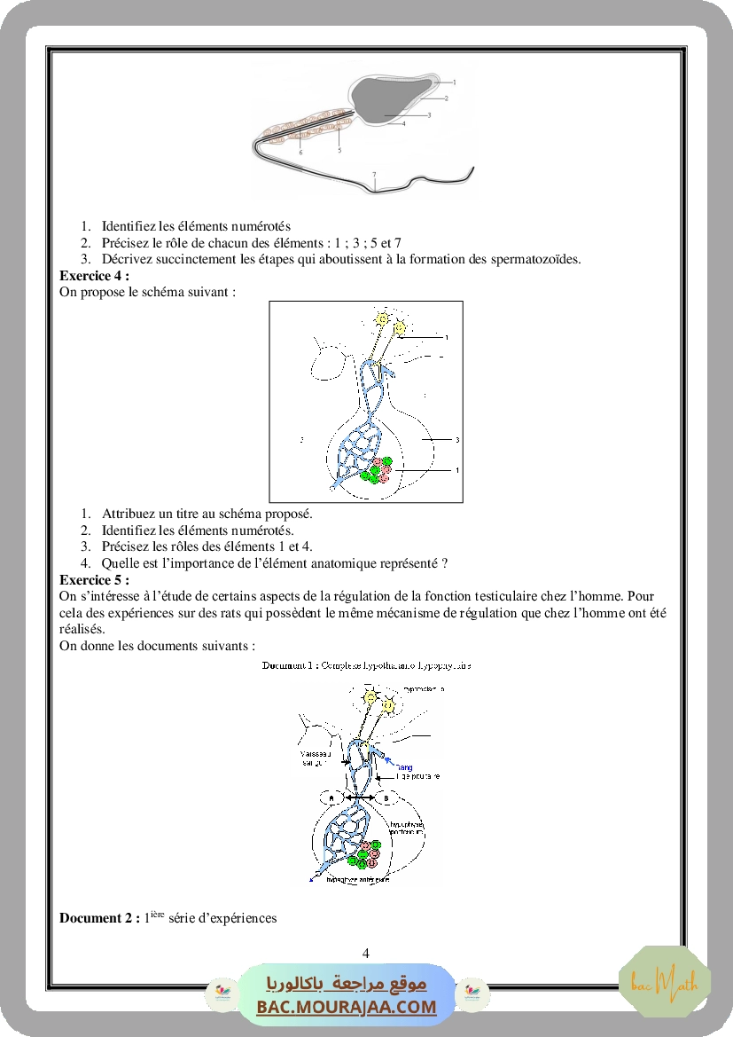 Serie_Neurophysiologie_ _Corrections
