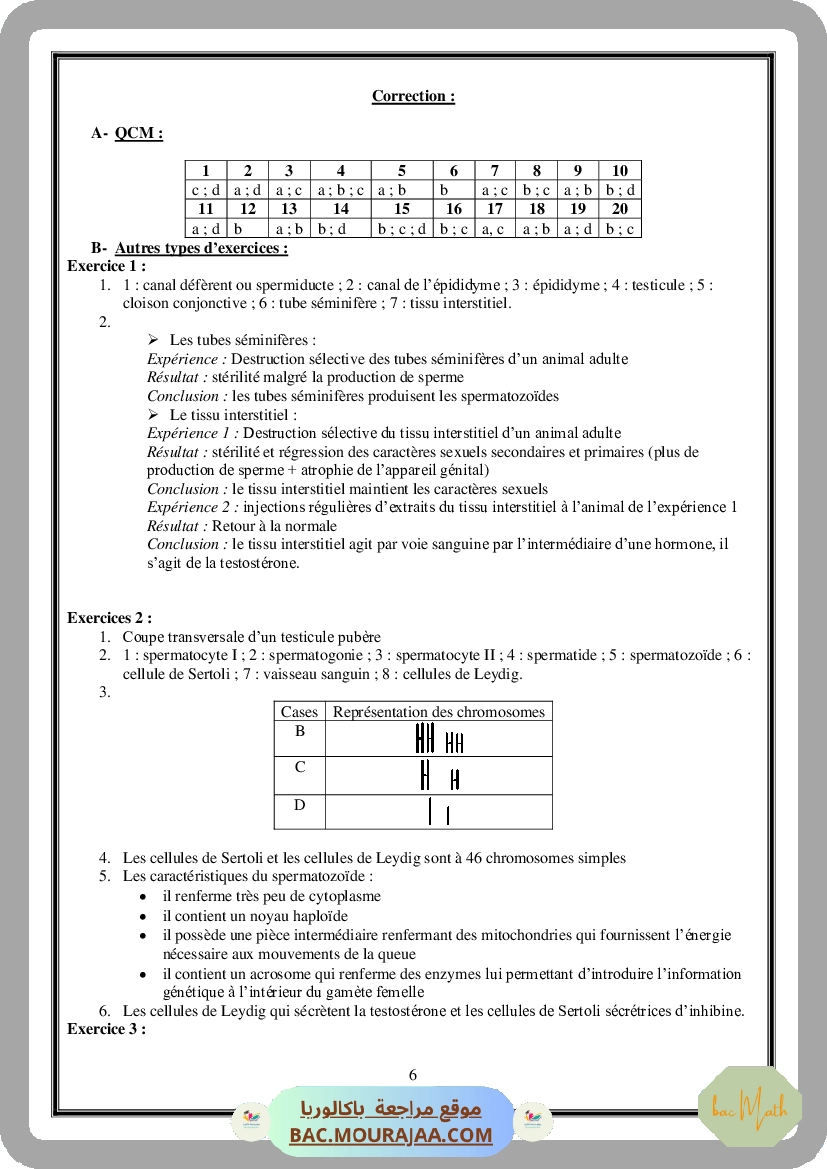 Serie_Neurophysiologie_ _Corrections
