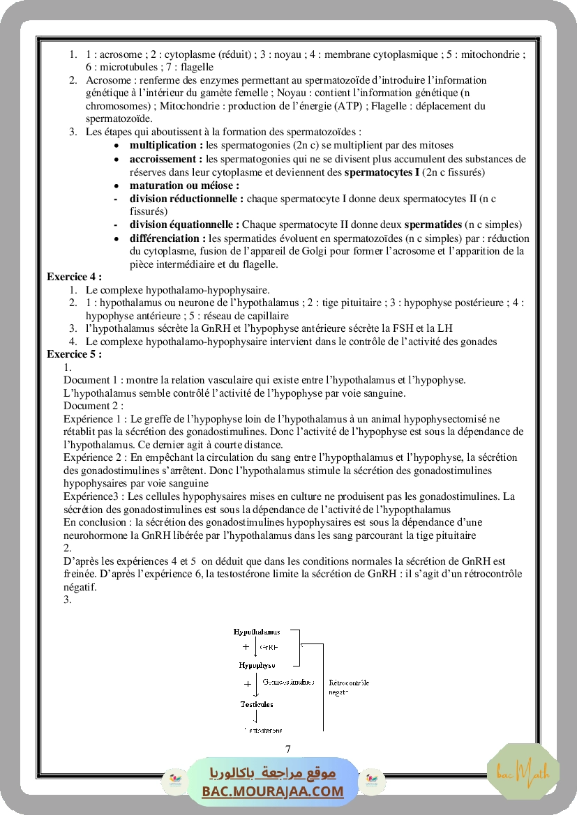 Serie_Neurophysiologie_ _Corrections