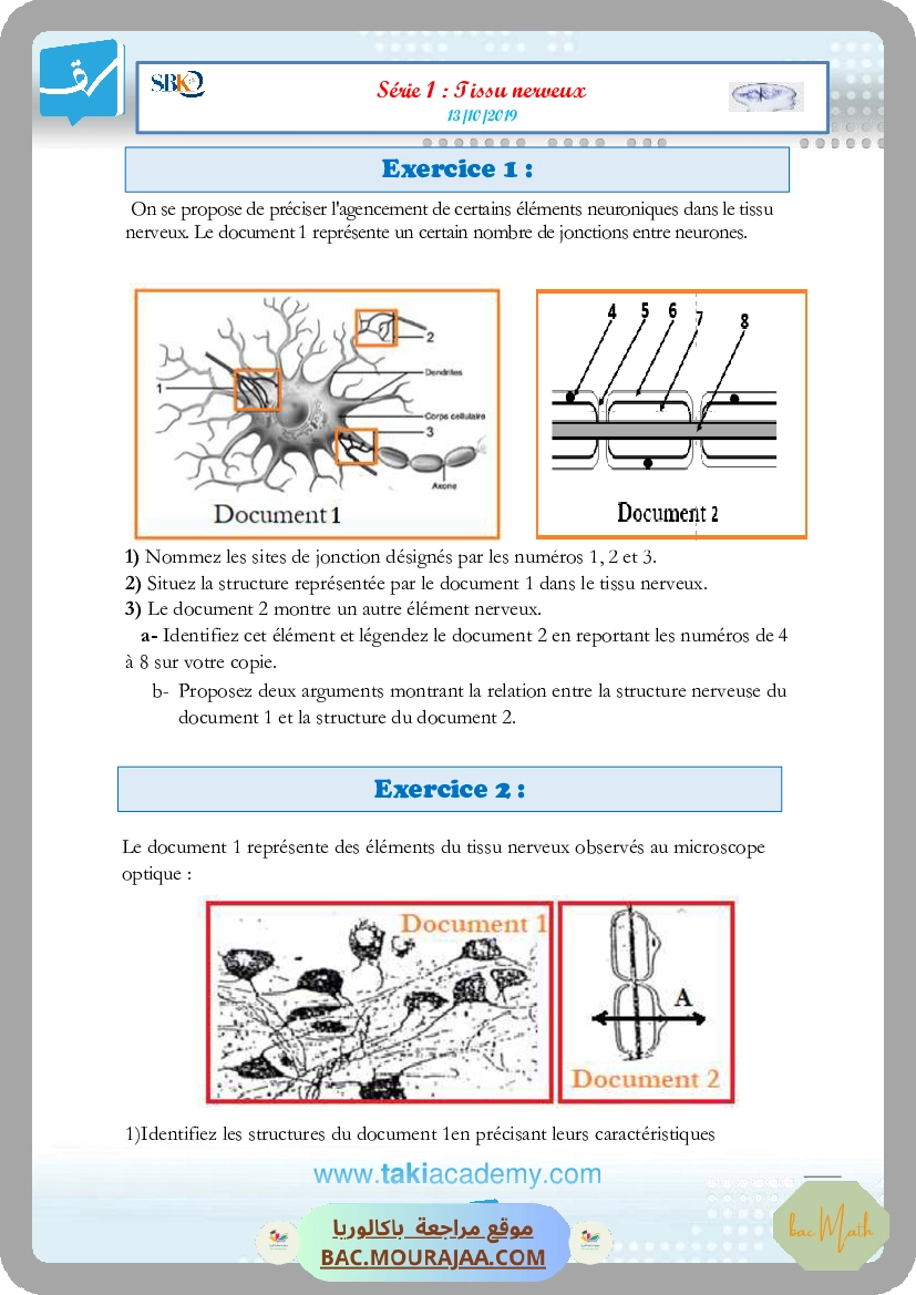 serie 1 tissu nerveux (13-10-2019)