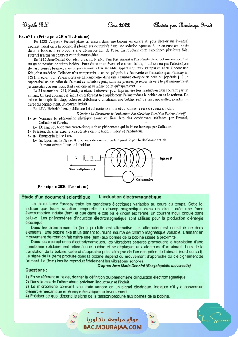 Diple-RL2022